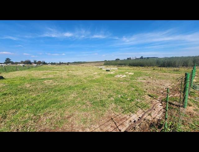 FARM FOR SALE IN WITFONTEIN